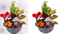 photo background removal from 50 images just in 1 hours