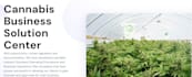 provide advice, consultation and resources for cannabis businesses