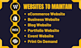 design and customize a wordpress website within 24 hours