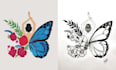 convert your hand drawing into digital art illustration