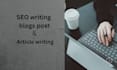 write articles and blog posts for your website