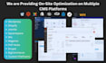 do complete SEO on page optimization on multiple cms platforms