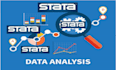 do survey and other data analysis using excel, spss, stata, r, python, sql, jasp