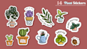 create cute plant illustration for sticker, t shirts, n merchandise