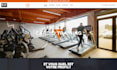 design and develop a professional wordpress and ecommerce online store