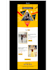 integrate mailerlite to shopify, email automation, flows, woocommerce popup