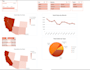 create custom excel dashboards, and vba automation, and google sheets reports