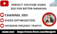 be your youtube SEO expert to optimize your videos and channel