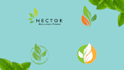 create beautiful nature leaf logo for company, website
