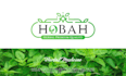 design leaf logo for your garden, farm or plant