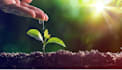 be your sustainability and environmental researcher