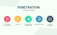 provide vulnerability assessment pentest and cyber security consultation report