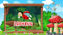 create learning videos for kids in 4k