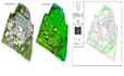 process and interpret drone and point cloud data