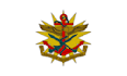 do day embroidery digitizing in 30 minutes