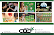 design a professional flyer or brochure for your business