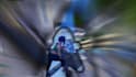 edit the best fortnite montages
