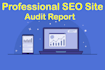 do website analysis and provide site audit report