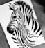 hand made hyper realistic pencil sketch