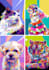 create your animal photos into professional digital wpap pop
