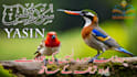 make professional islamic thumbnails for youtube