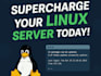 setup, optimize, and maintain your linux server