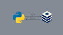 do your python programming task project or bot