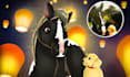 turn your beloved pet into a disney cartoon portrait