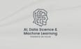 consultancy session on ai agents, llm, data science, machine learning, forecast