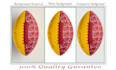do clipping path, remove background with crop and resizing