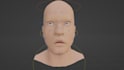 rig your humanoid character using rigify