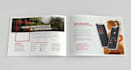 design a professional brochure tailored to your brand