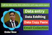 do data entry data collection web research and copy paste