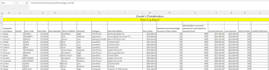 develop excel and microsoft access databases