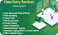 do data entry in excel, word and web research