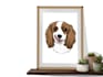 draw your pet into a cartoon vector simple in 24 hours