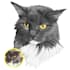draw your pet into realistic vector art
