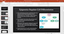 create best powerpoint presentations on molecular biology