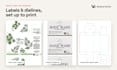 design product packaging, labels and print ready dielines
