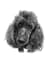 do a black and white pet portrait