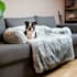 create your pet product video