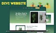 create responsive wordpress website by divi theme, builder