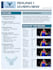 design editable newsletter templates in powerpoint