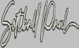 do embroidery logo in a stitch files