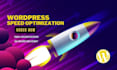 do website speed optimization by gtmetrix google pagespeed