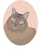 draw hand drawn pet illustration