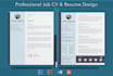 create professional, modern CV design and infographic resume