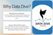 do amazon listing optimization using data dive software for SEO