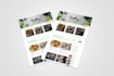 develop and design a responsive wordpress website for you