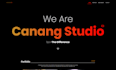 develop your wordpress website